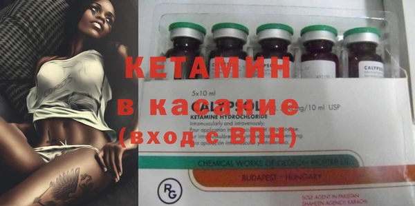 бошки Белокуриха