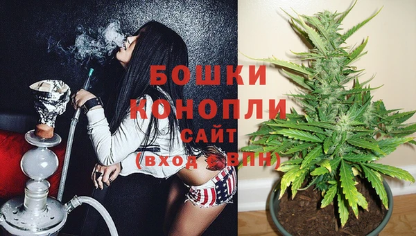 тгк Богородицк