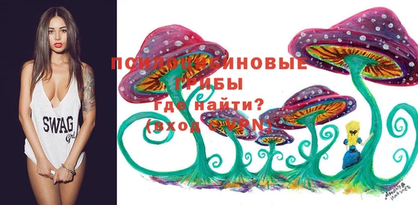 тгк Богородицк
