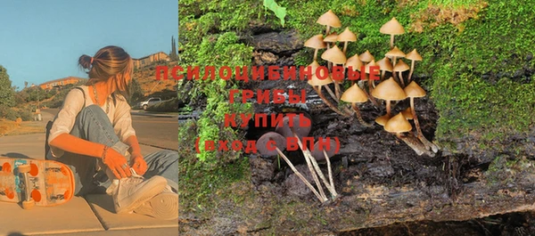 тгк Богородицк